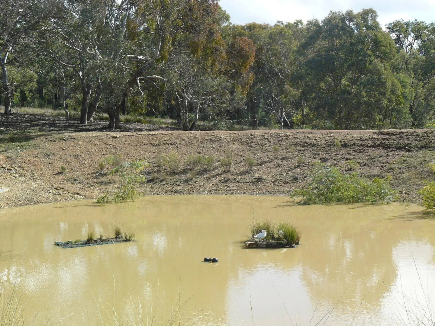 Protea Farm Cottages
