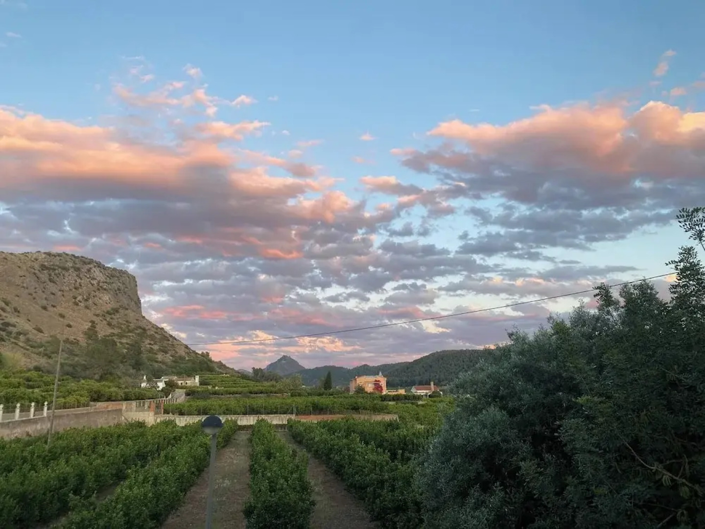 Room-orange Room Your Refuge of Tranqu