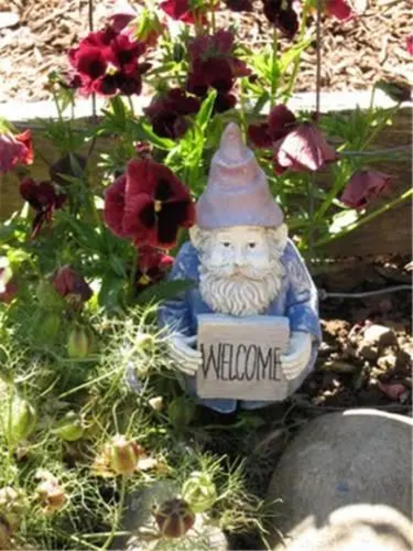 Wine Country Cottage