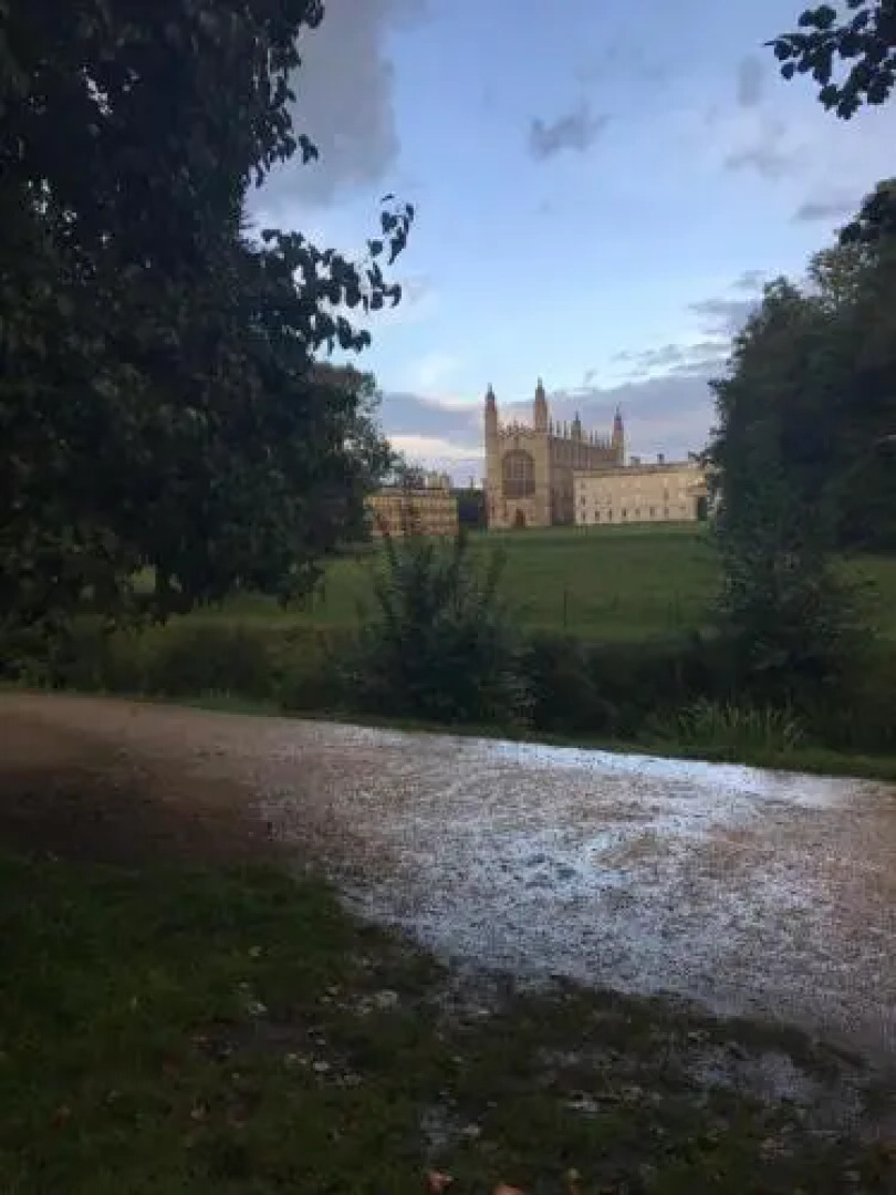 Artist House Cambridge