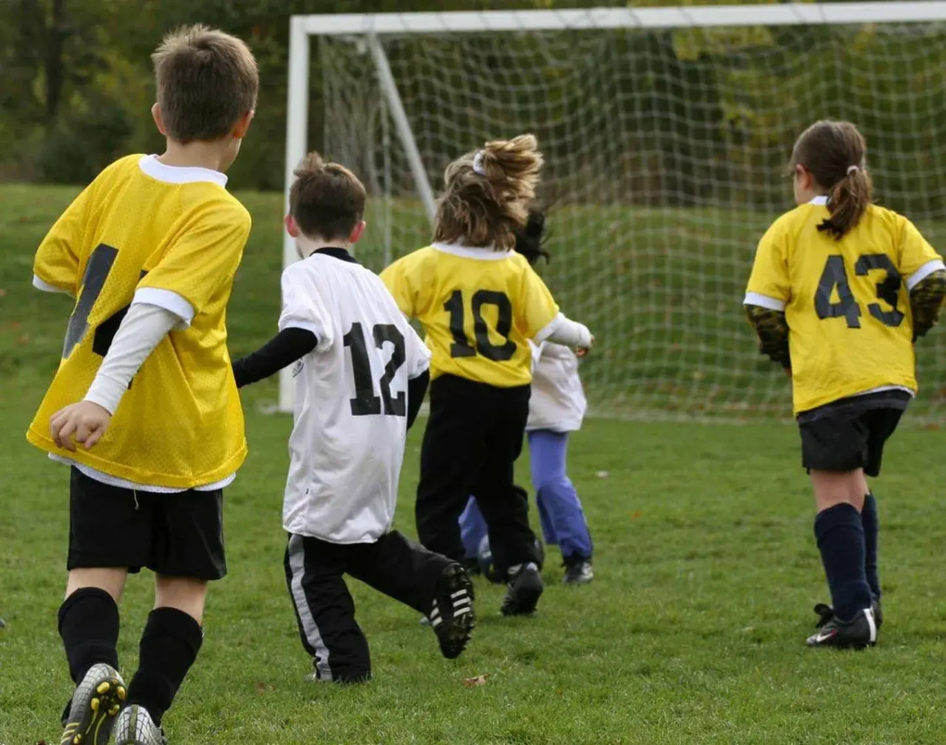 Homewood Suites by Hilton Madison West