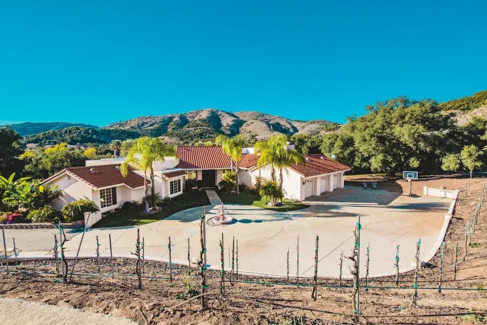 Grapevine by AvantStay | Secluded Villa | 4 Acres of Vineyards & Avo Groves!