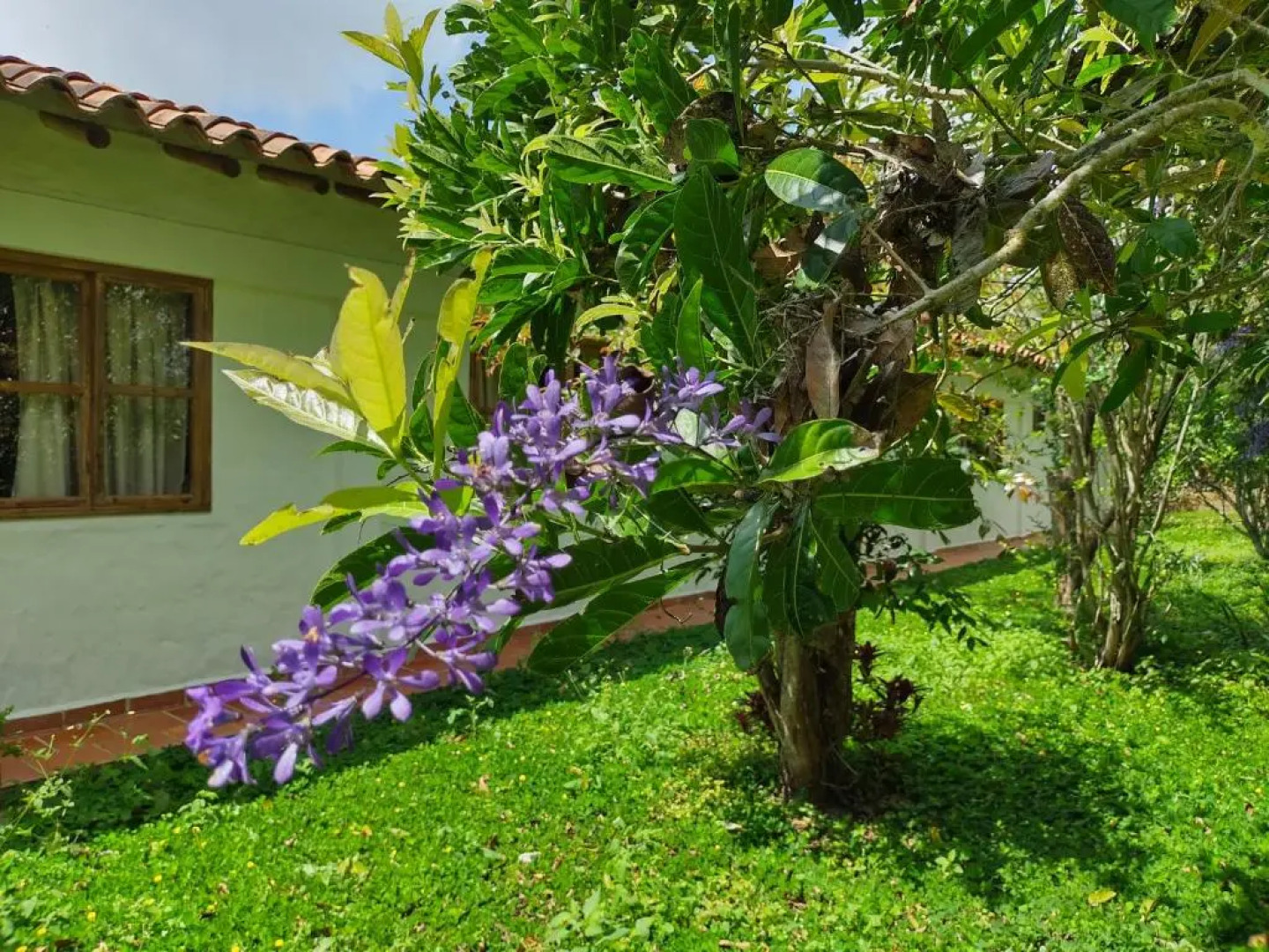 Hotel Ecoposada Viña de Aldana