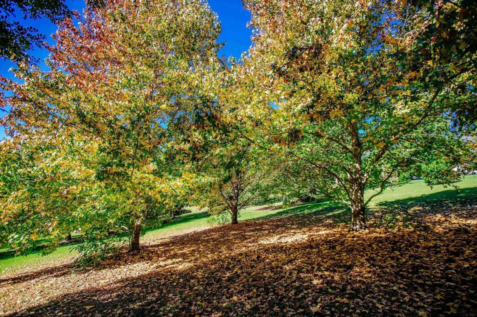 Avoca Valley Bed & Breakfast