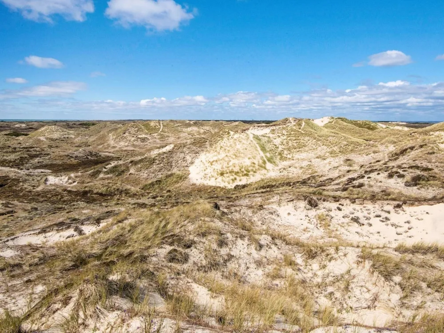 12 Person Holiday Home in Fano