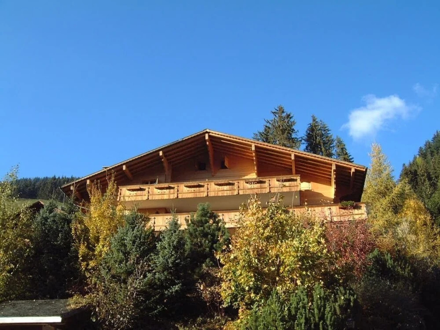 Gstaad - Luxury Flat in Rougemont