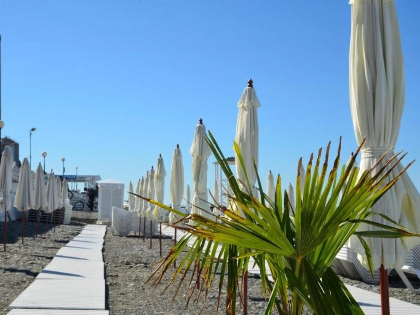 Marco Polo (Адлер)