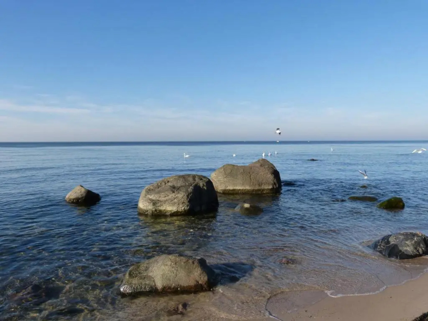 Gemütliches Apartment in Strandnähe
