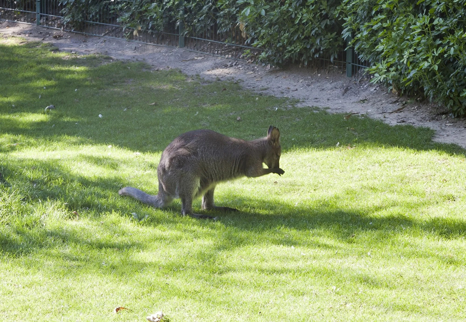 Hotel Jardin Des Plantes