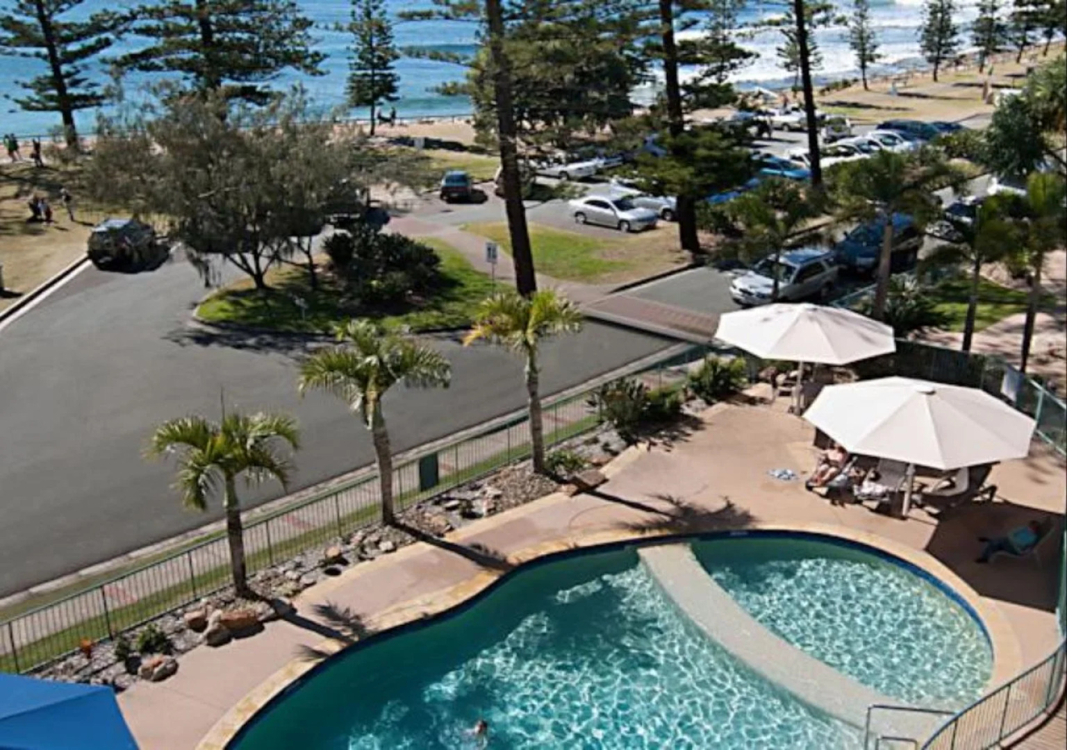 Norfolks on Moffat Beach