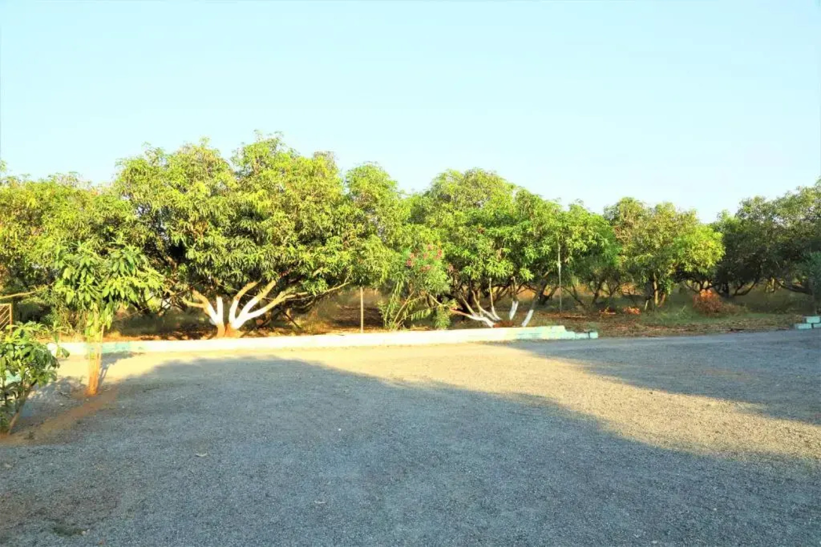 Wilderness Camp 200mtr from Devaliya Park