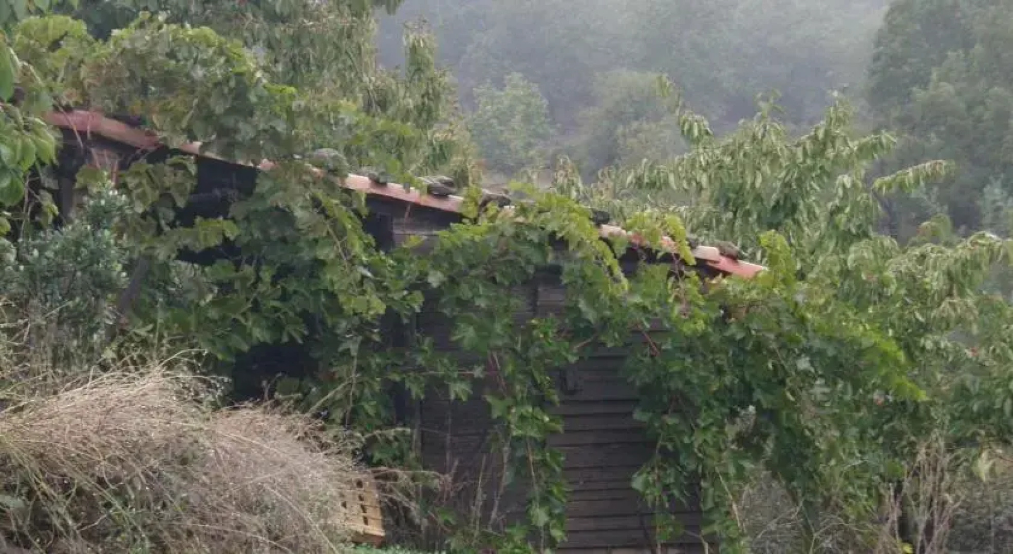 El Rincón De Los Cerezos