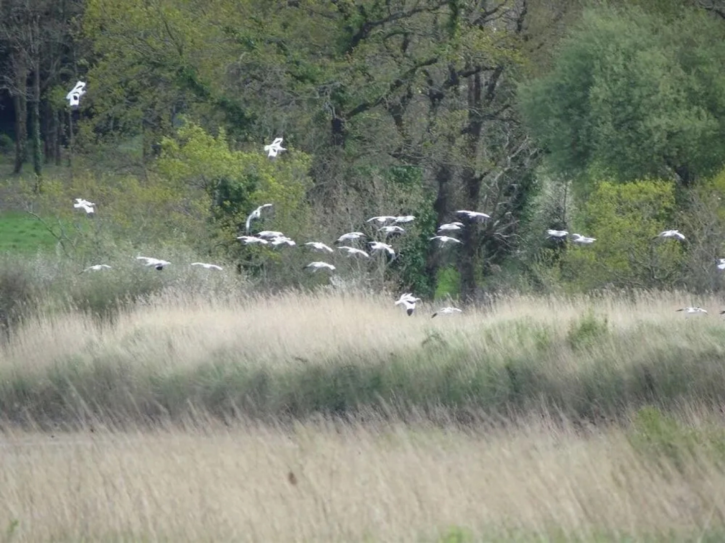 La Balade des Marais