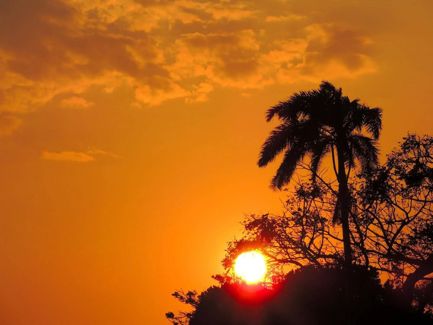 Trujillo Beach Eco-Resort