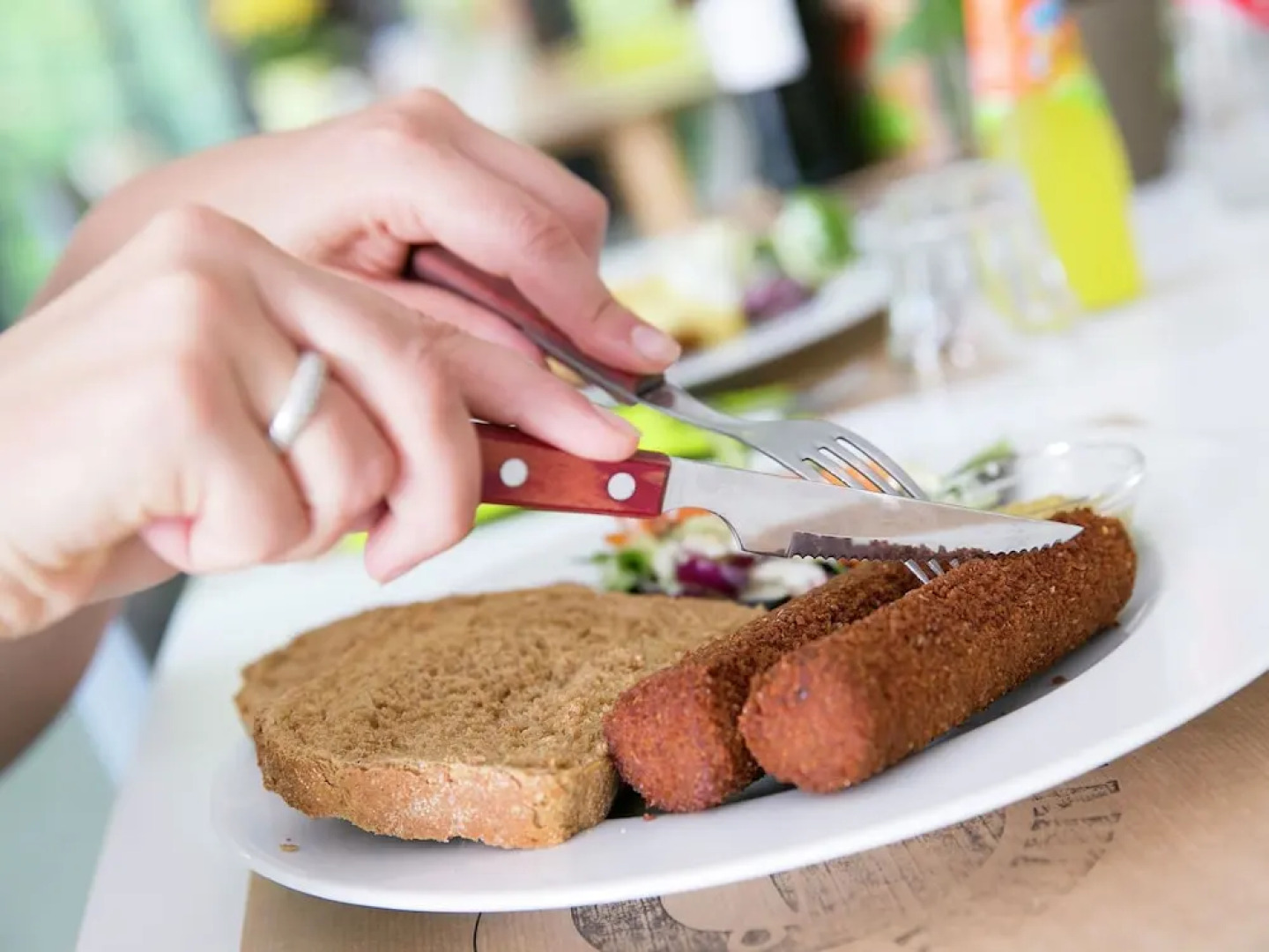 Modern villa with deco fireplace and dishwasher in De Veluwe