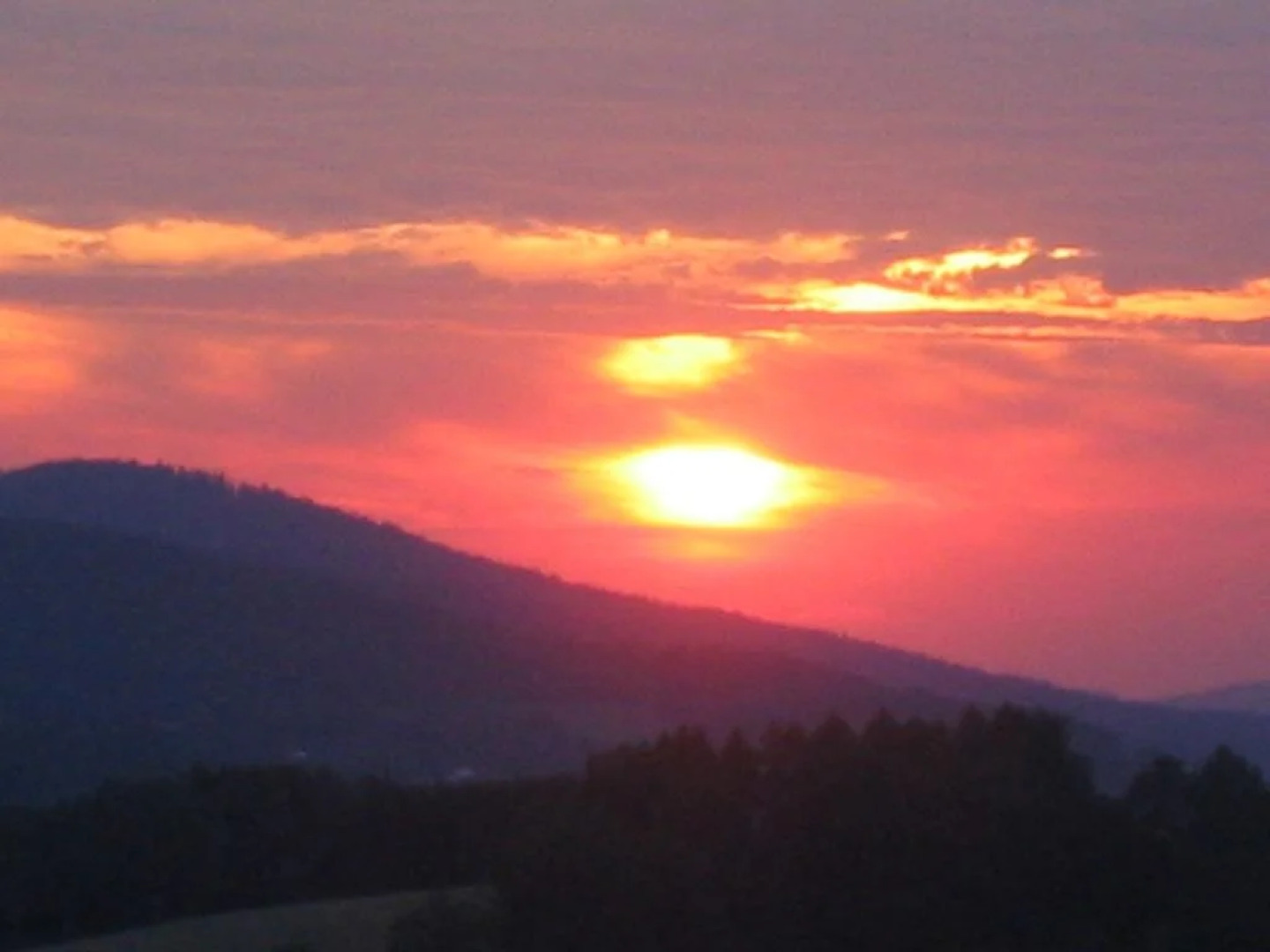 Wellness Ferienwohnungen Zellertalblick