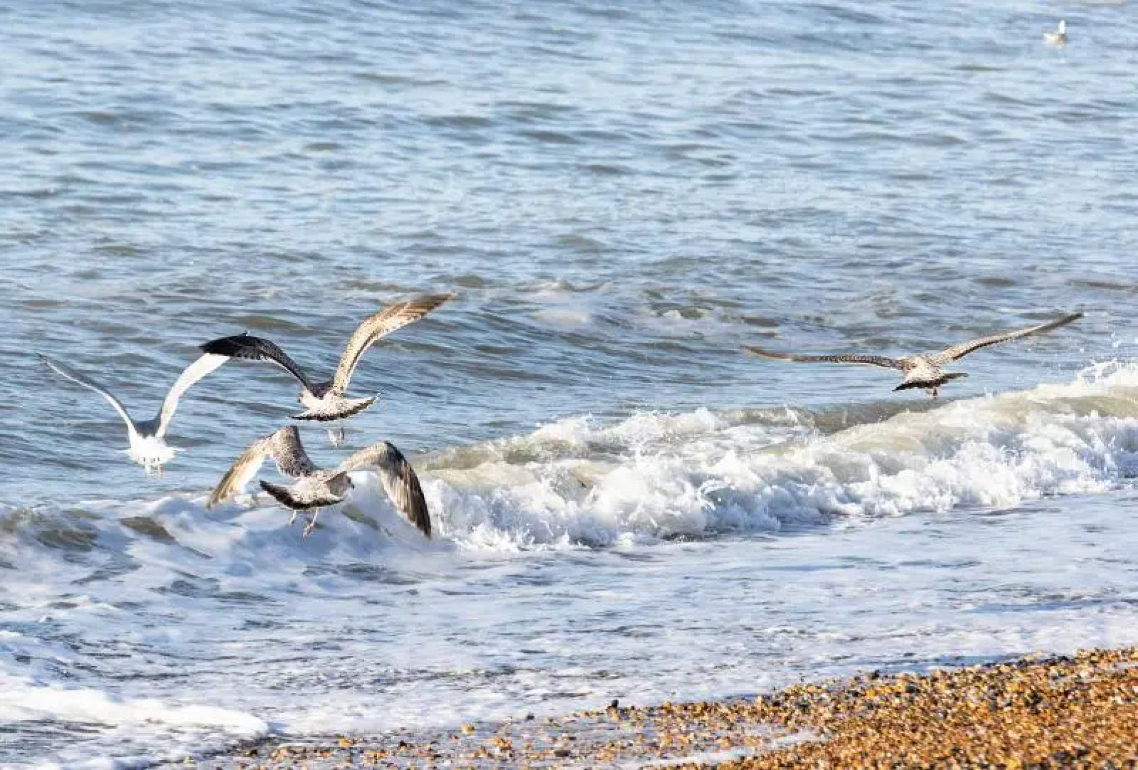 The Relais Cooden Beac