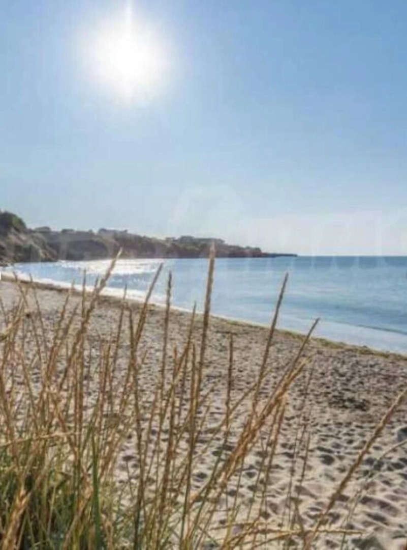 Charming 1-bed Apartment in Aheloy