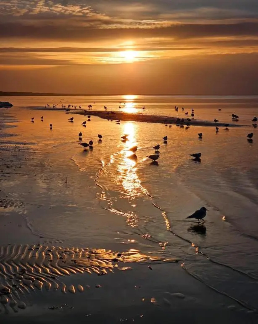 Style apart Samanta - near Jurmala & Riga airport