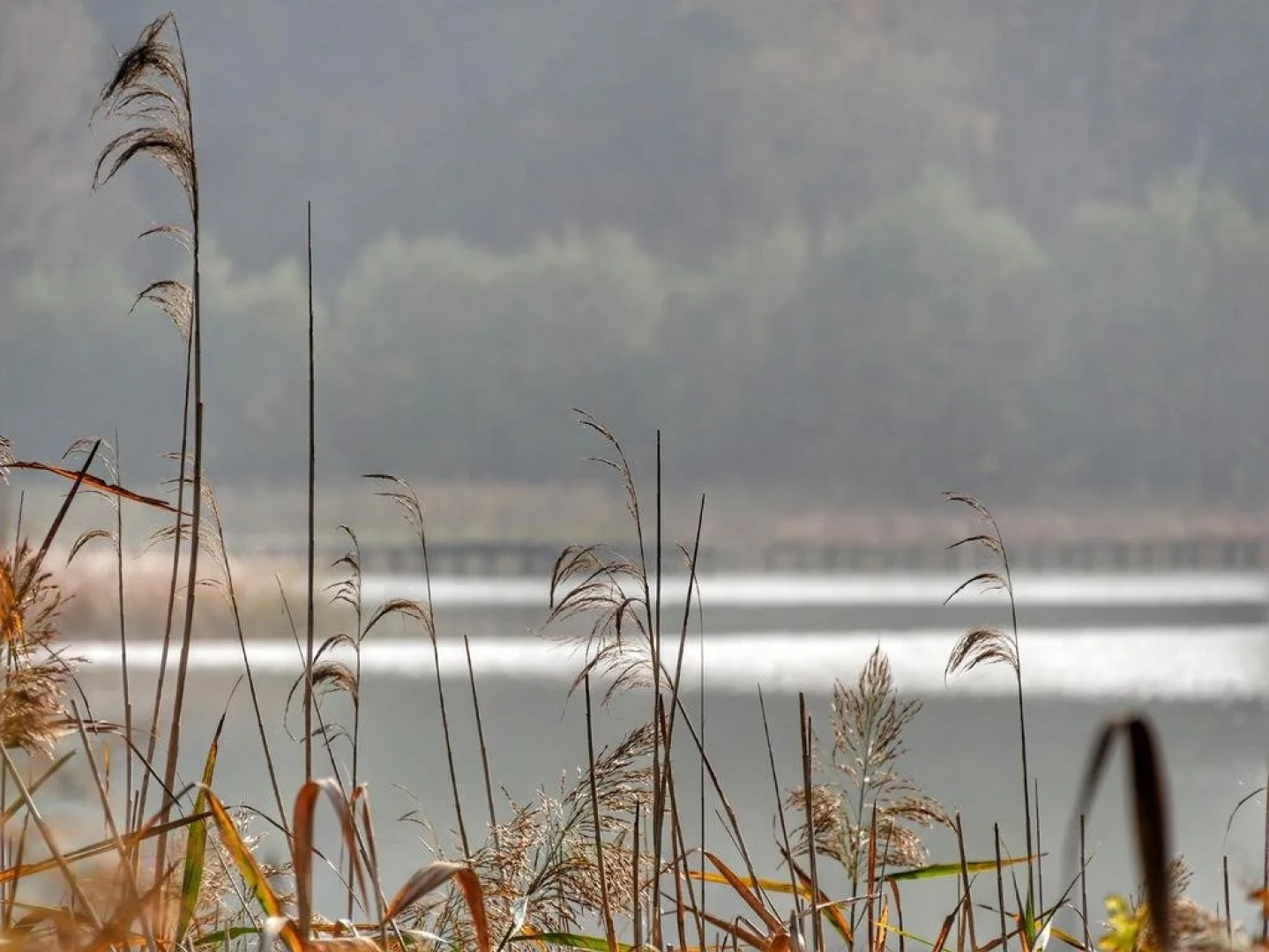 Pension Haus Friederike