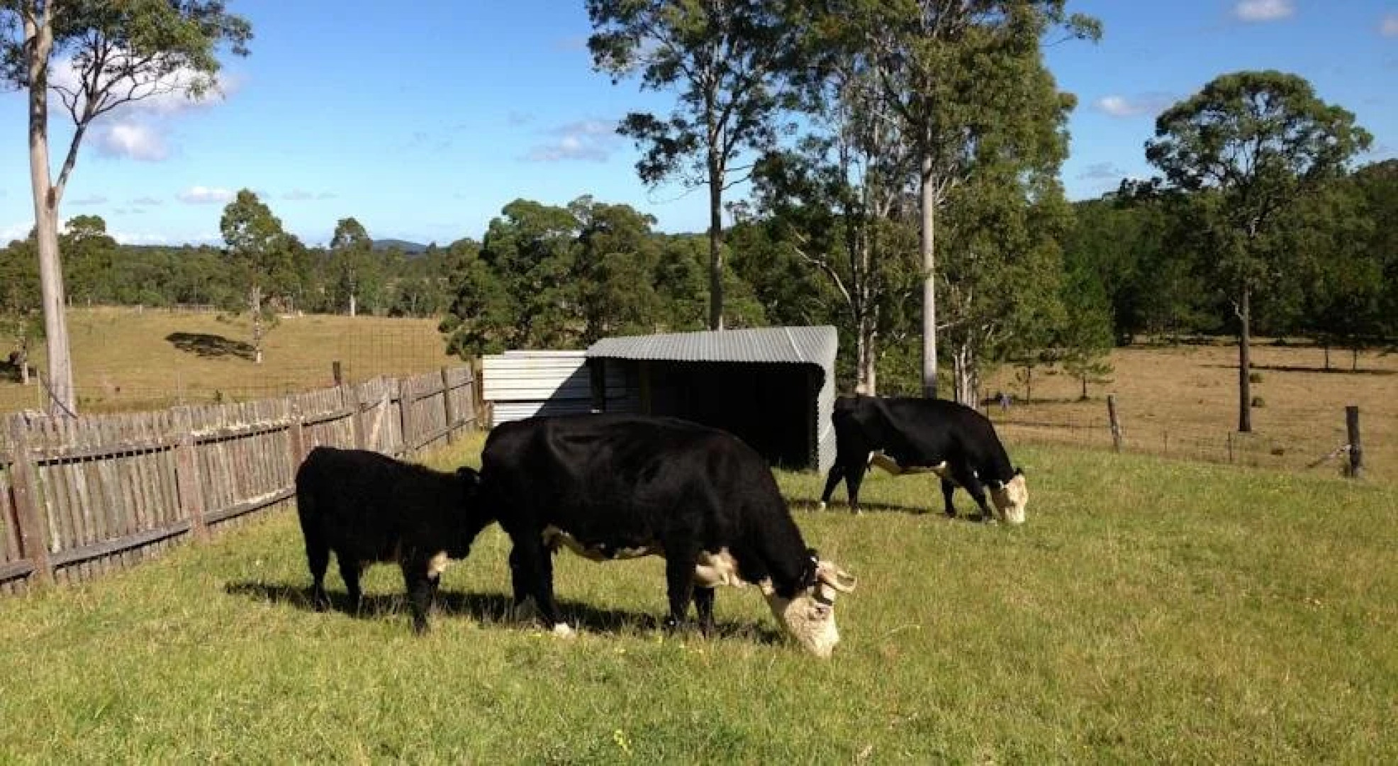 Rural Executive Holiday House @ Lavender Grove Farm