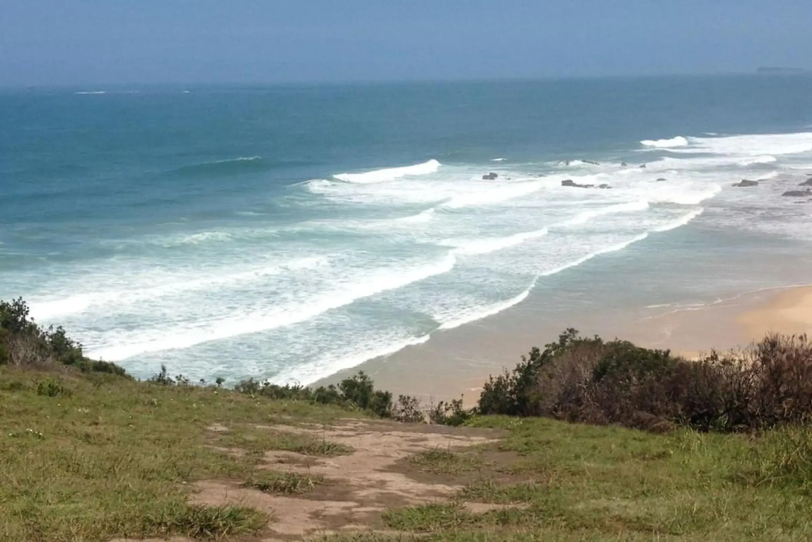 Harrys Haven Harrington