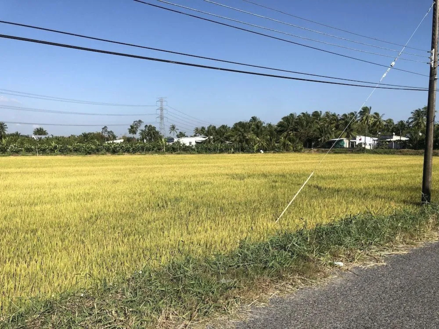 Thanh Tan Guesthouse