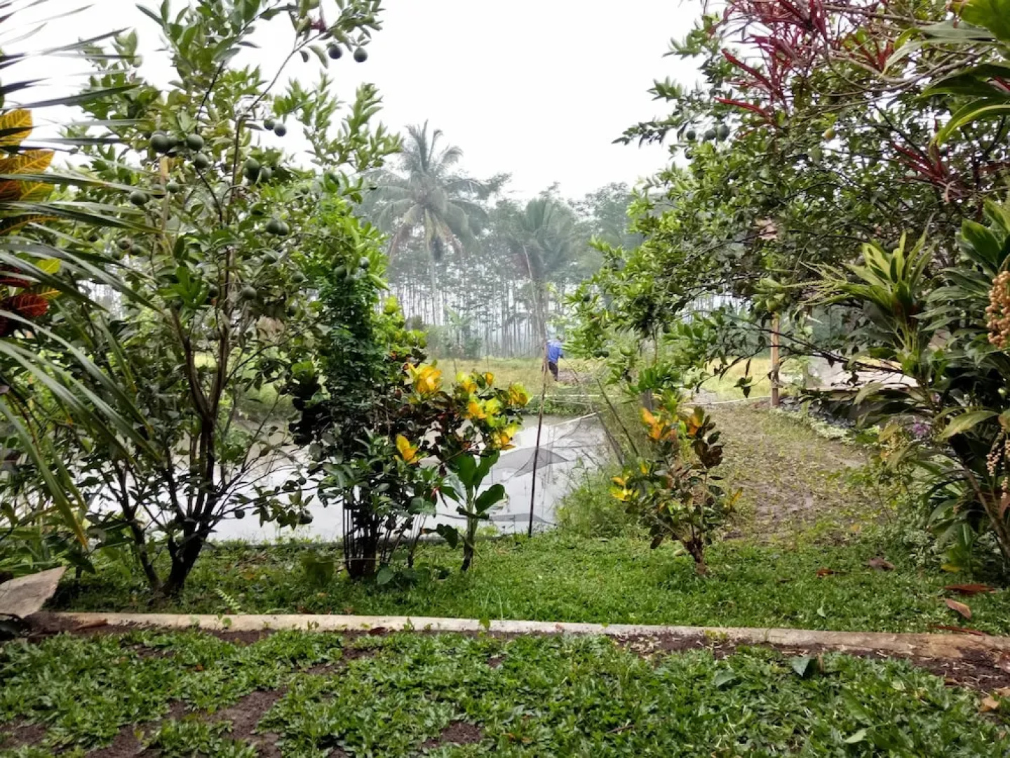 Ijen Asparin Homestay