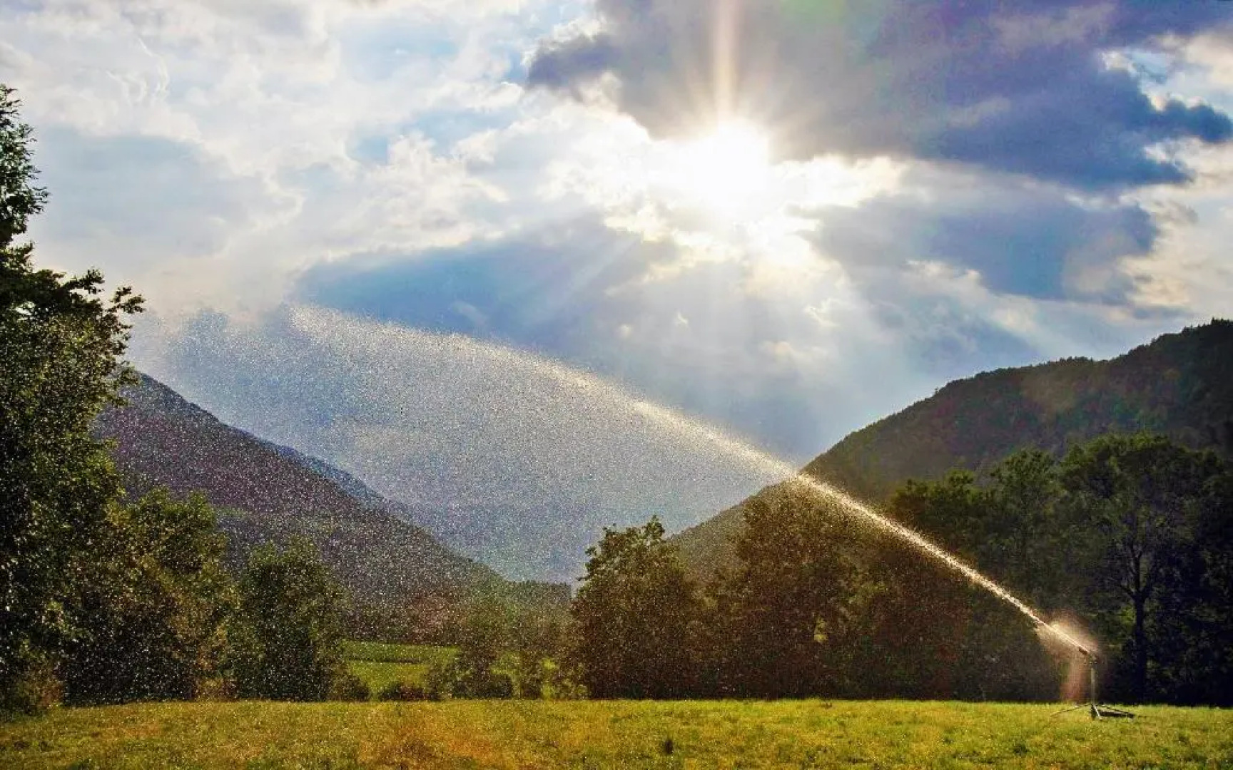 Haus Ploner - Pichlerhof