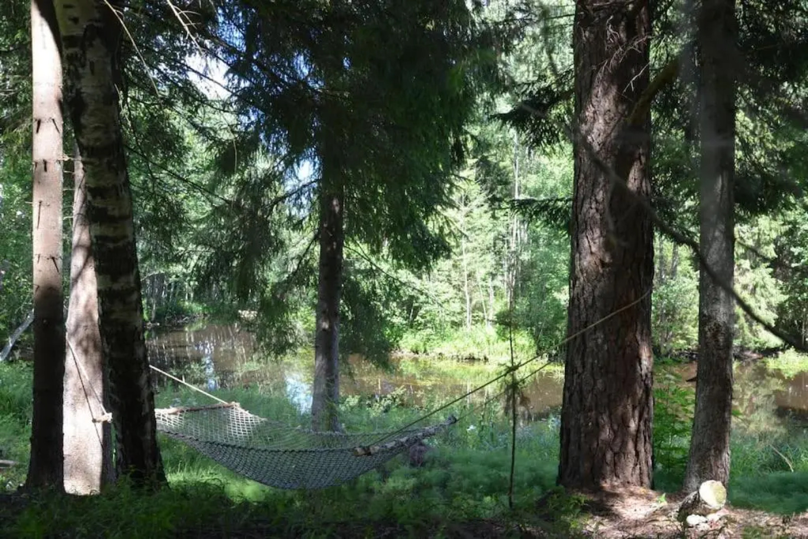 Little Forest House near the river Jägala