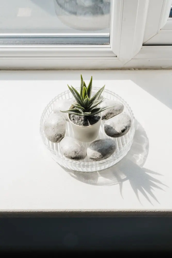 Richmond Guest House