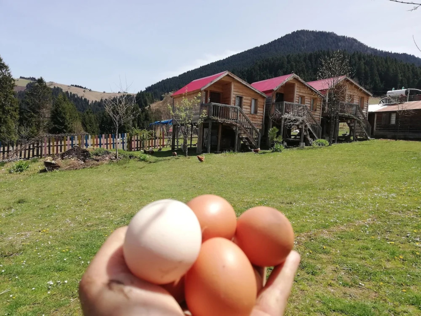 Pilav Dagi Yavuzyilmaz Tesisleri