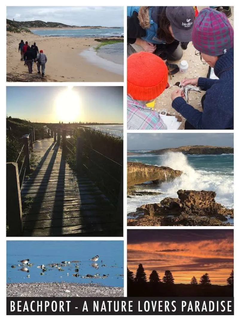 Harbour Masters Beachport