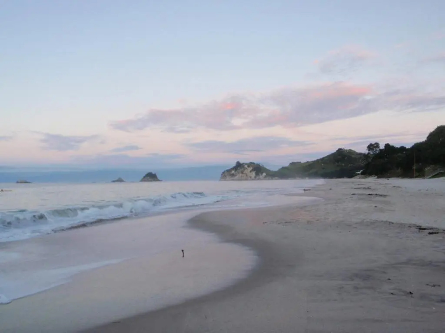 BEACH FRONT:Palms-on-the-beach.KAITERITERI.