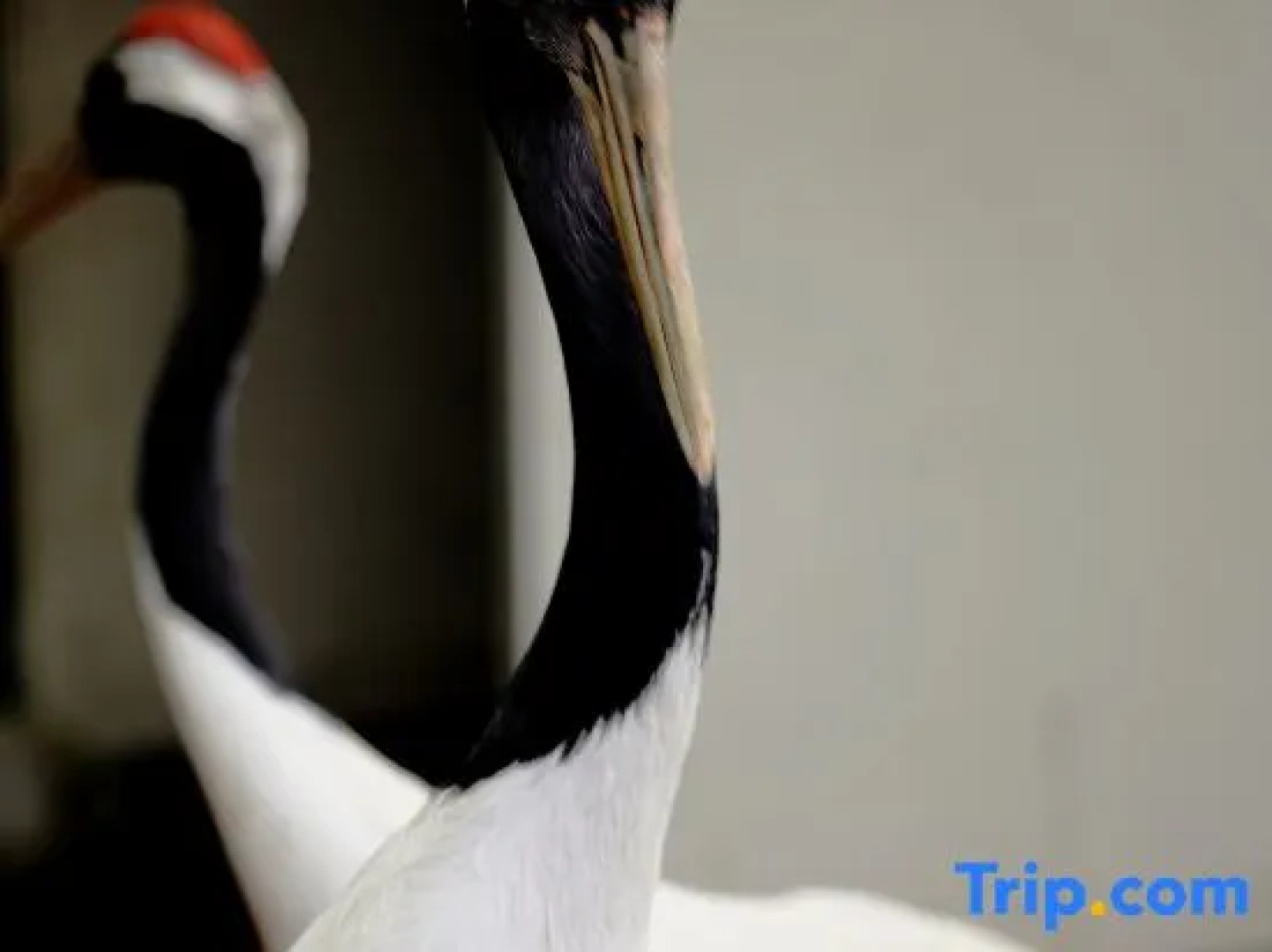 Tiantai Hot Spring Resort