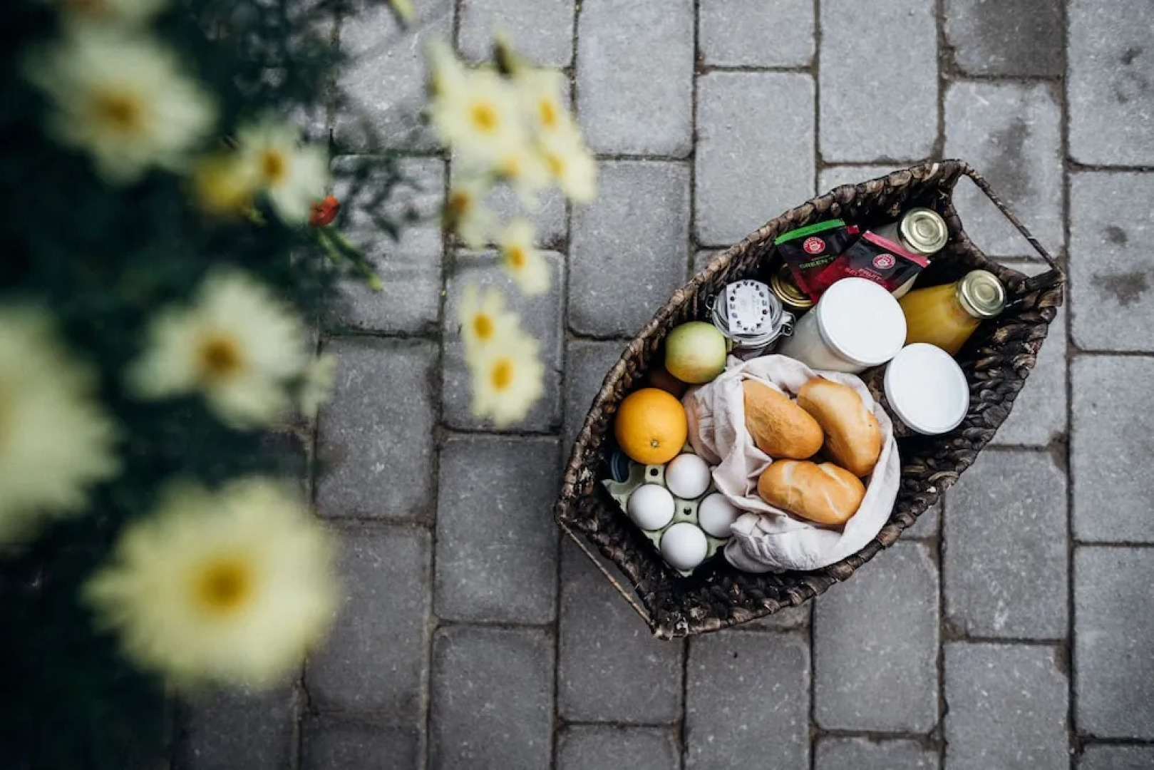 Eulersberg Appartements