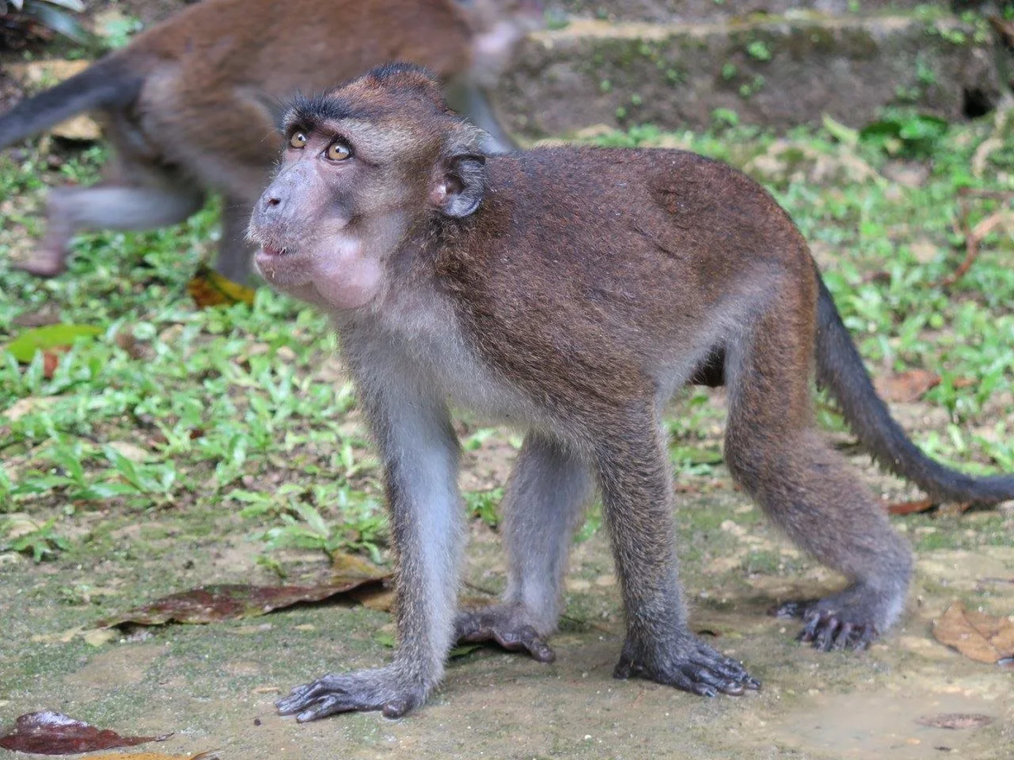 Magic Oceans Dive Resort