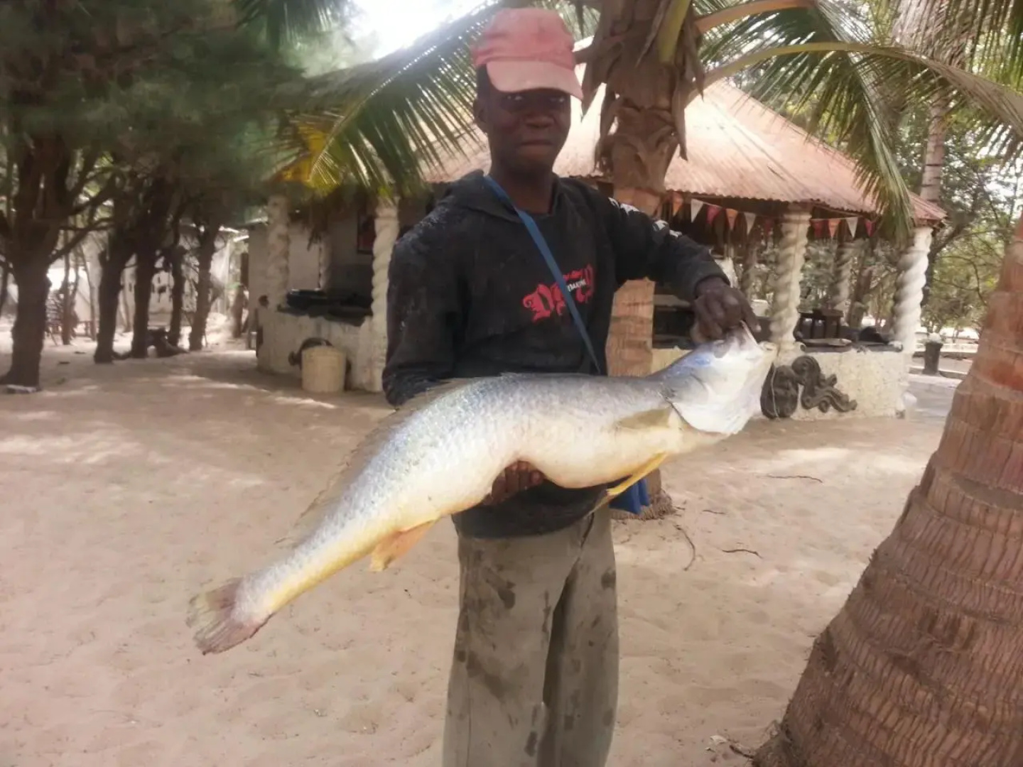 Jungle Beach Resort