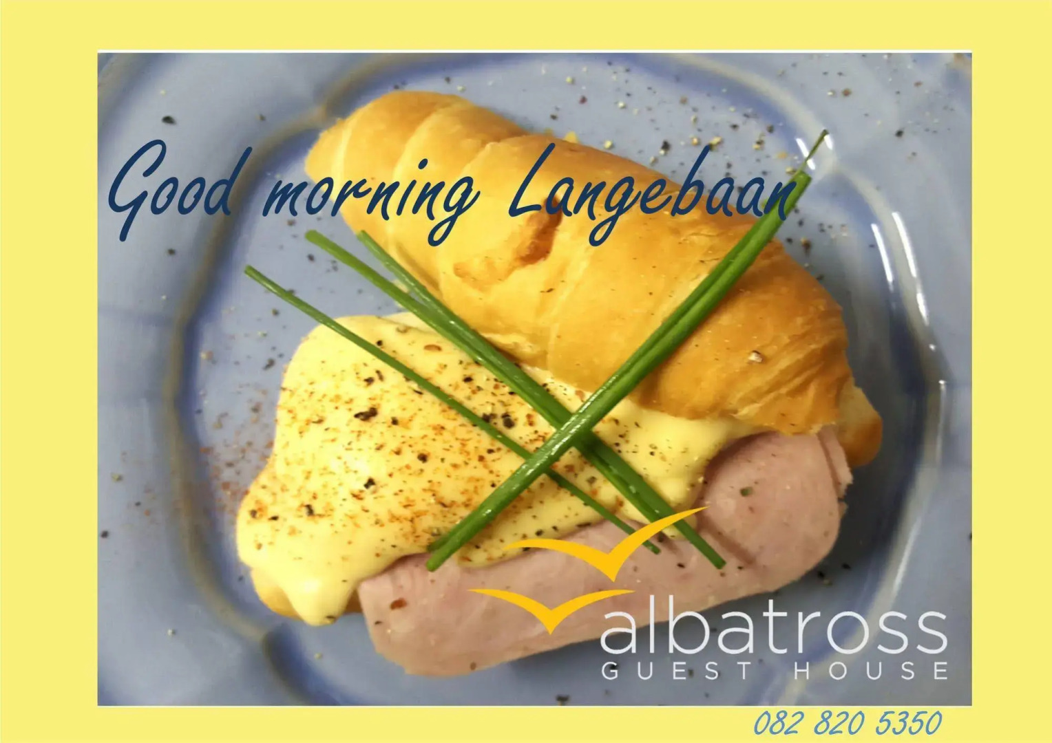 Albatross Guesthouse