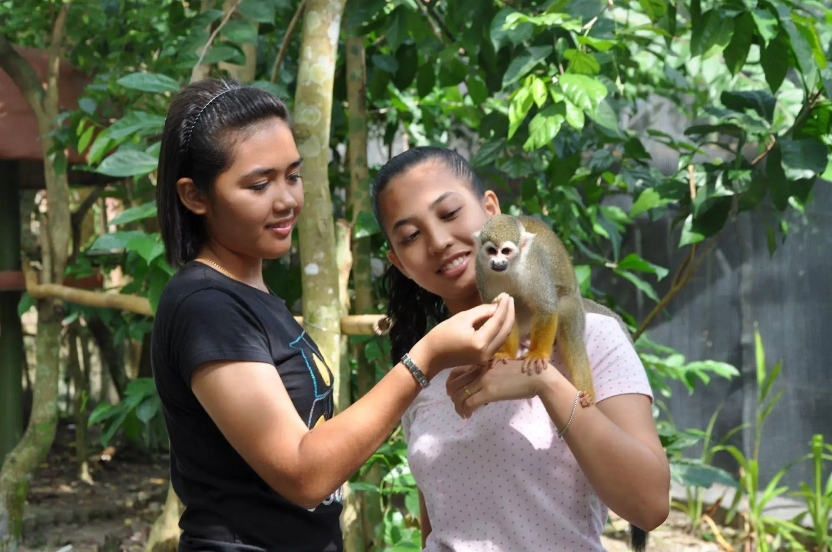 Bukit Merah Laketown Resort