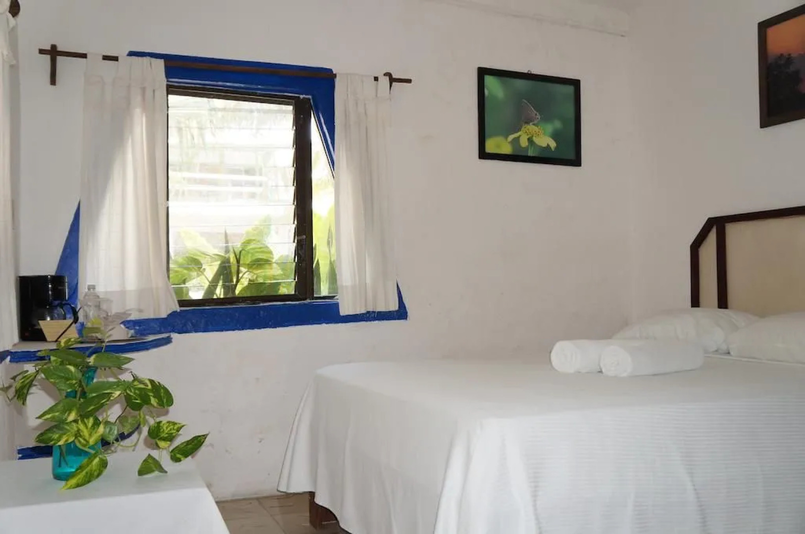 Posada Amor Hotel Boutique