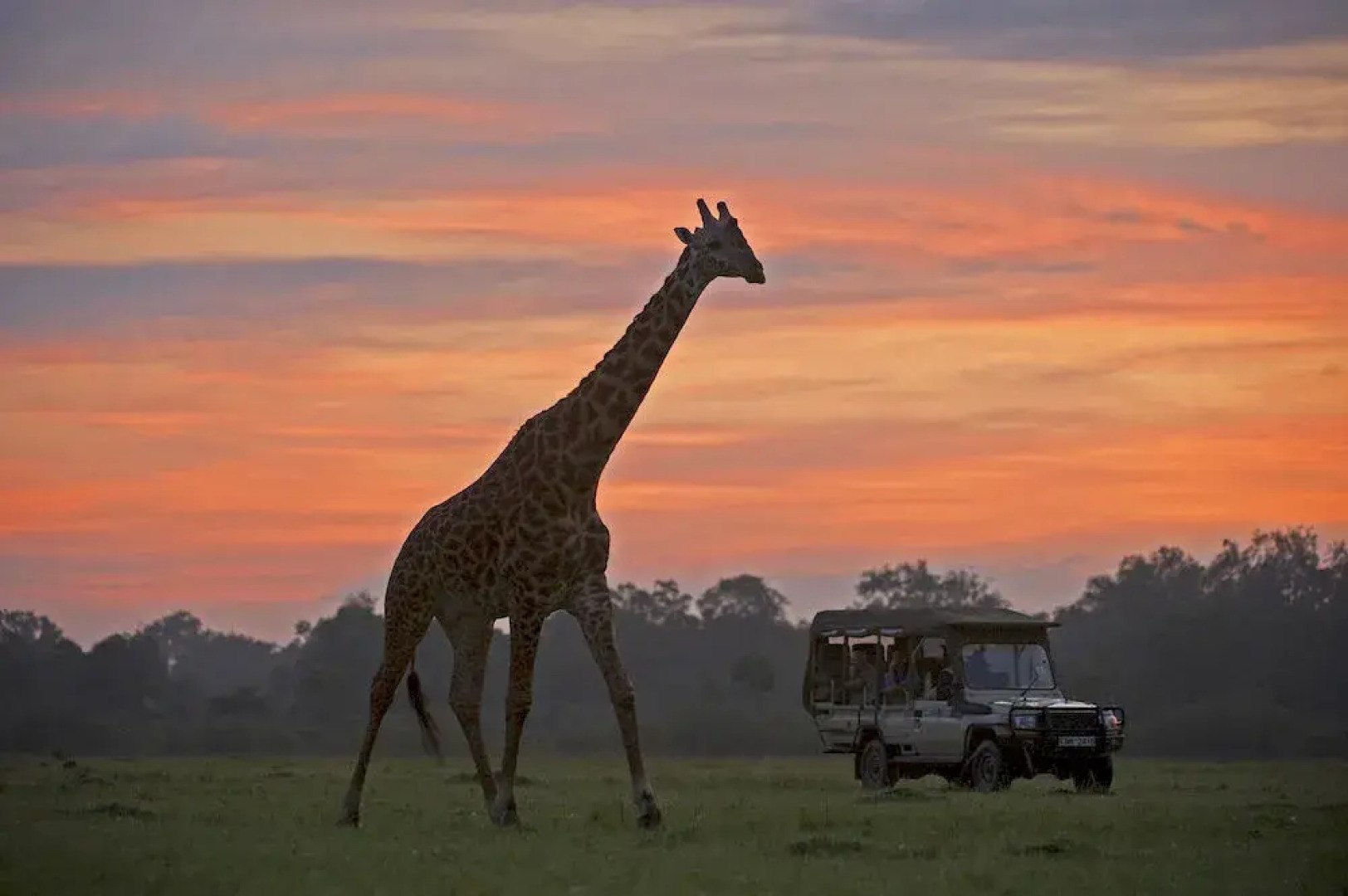 Sanctuary Kusini Camp