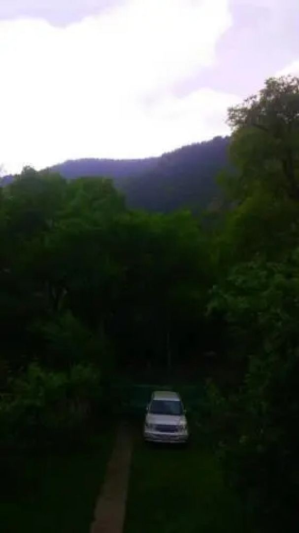 Guest House on Gogebashvili 5