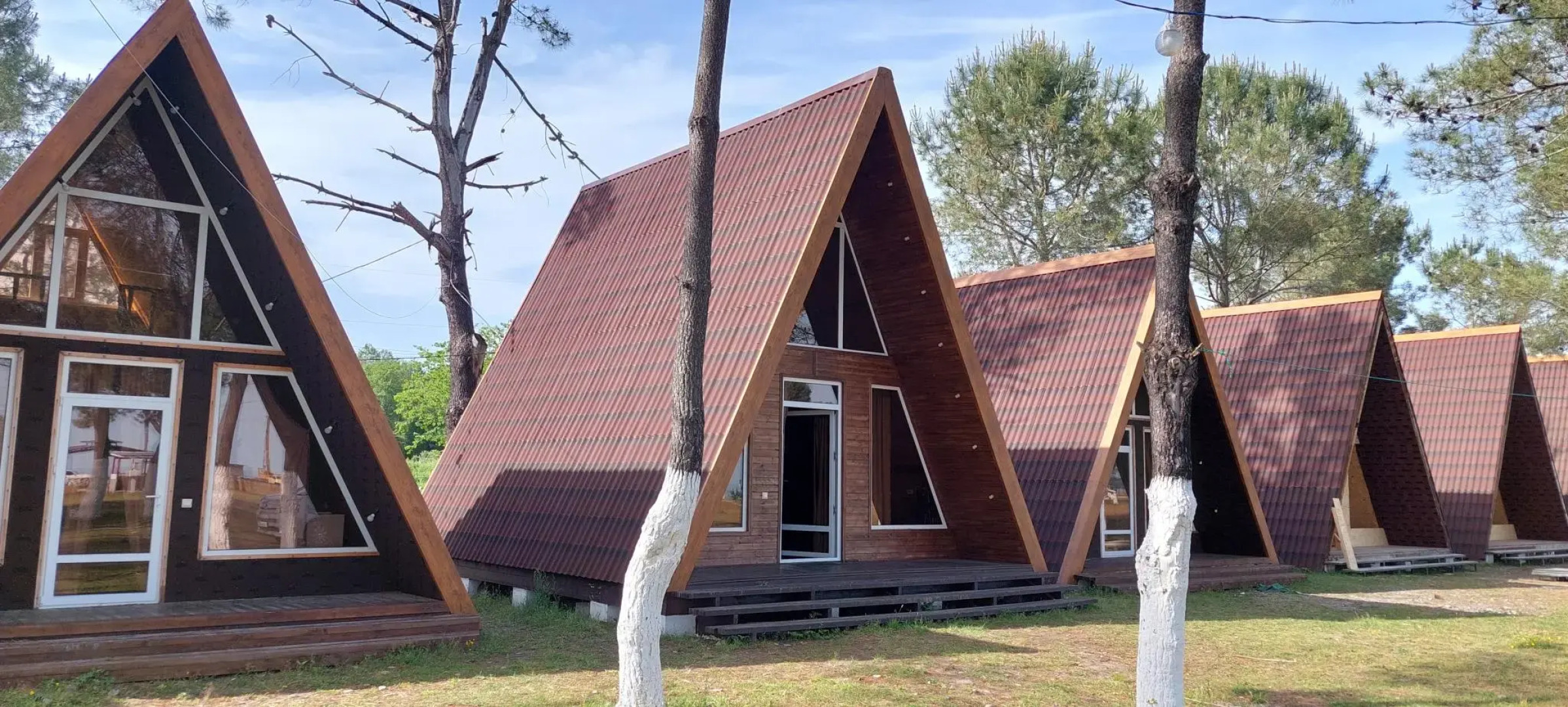 База отдыха Сосновый бор