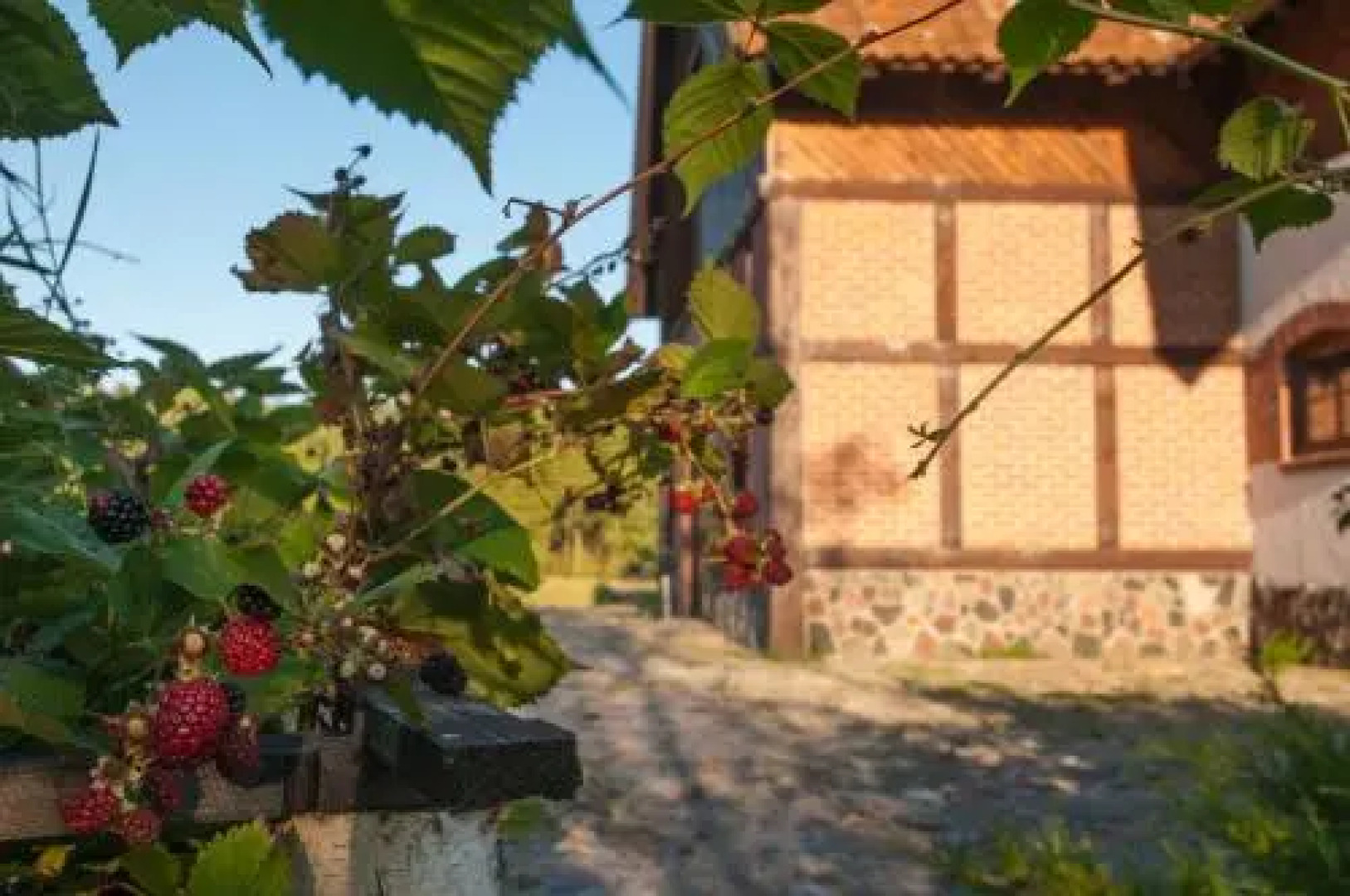 Mazurskie Siedlisko Kruklin