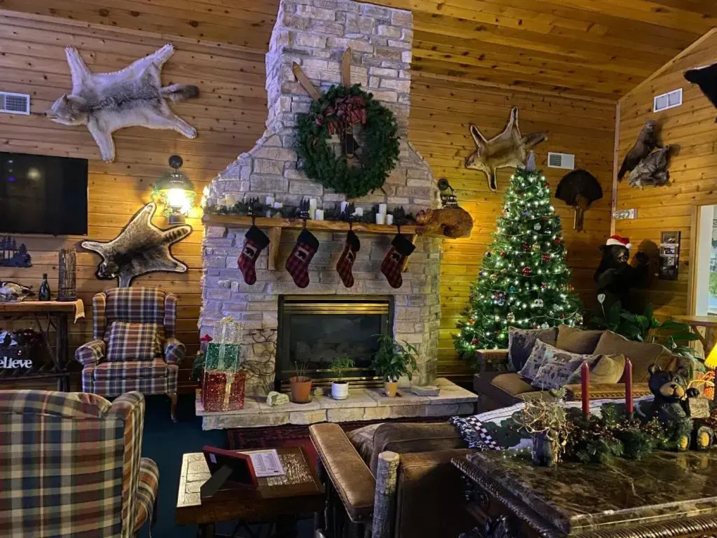 Boulder Bear Motor Lodge