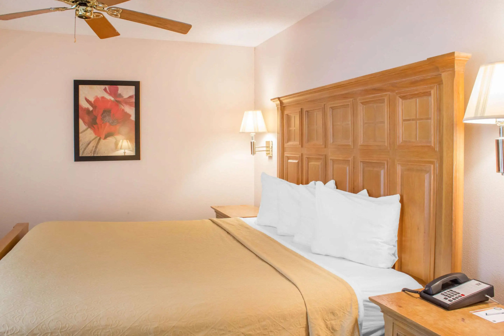 Econo Lodge Raleigh near Walnut Creek Amphitheatre