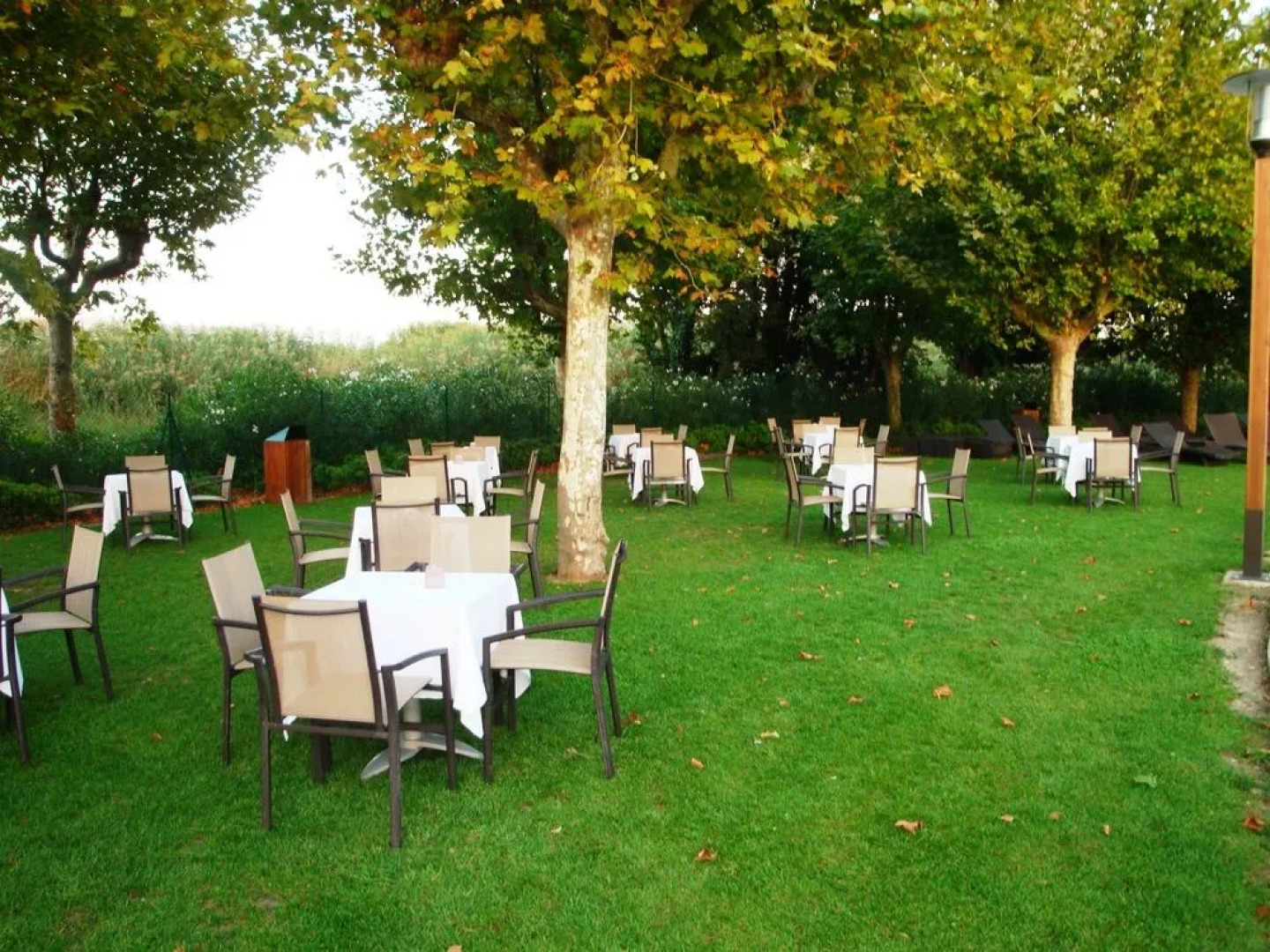 Mimozas Resort Cannes