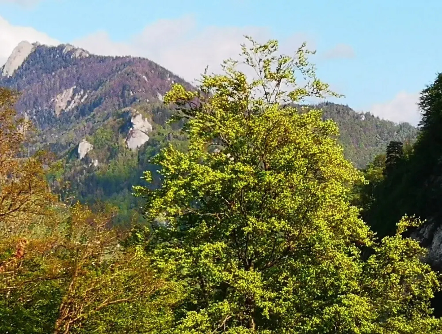 Ferienwohnung WG beim Nationalpark Kalkalpen Steyr Ennstal am Ennsradweg - Luchstrail - Sebaldus - Mariazeller Pilgerweg