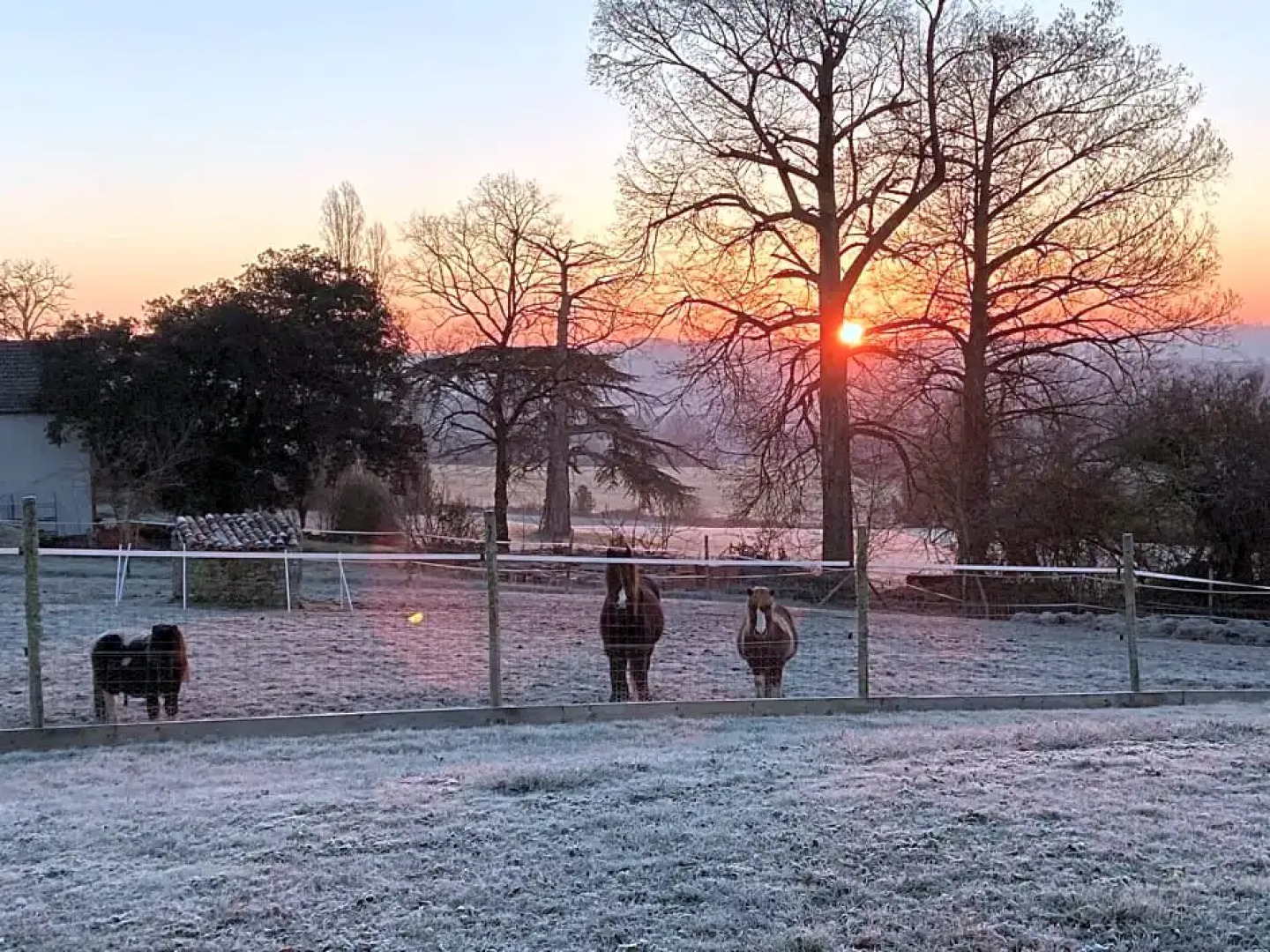 Suite de 2 chambres attenantes avec sa salle de bain et wc privé attenant